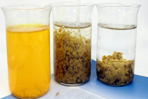 Waste Water Treatment